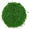 tree-bush-clump-foliage-dark-green-200ml (2).jpg