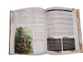 pol_pl_Warhammer-Age-of-Sigmar-RPG-Soulbound-Cienie-Posrod-Mgiel-20865_4.jpg