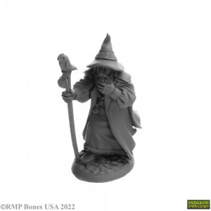 Reaper Miniatures: Landol Griwsold - Human Wizard