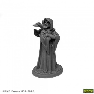 Reaper Miniatures: Zenfis Zadar - Wizard
