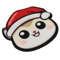 mikolajkowykotek-1.jpg