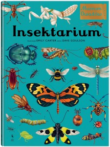 Insectarium. Insect Museum