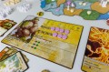 spirit-island (15).jpg