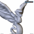 732_732_crop (9).png