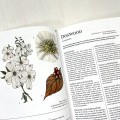 Herbalist_sPrimerStandardEditioncopy_480x480.jpg