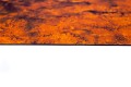 mars-7_1_70.jpg