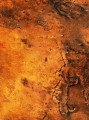 mars_label_1_70.jpg