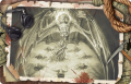 eh09_card_adventure-cult-of-sand-bat-back.png