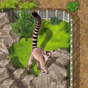 Zooloretto: dodatek Lemur (edycja międzynarodowa)