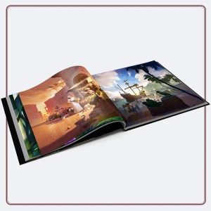 Puerto Rico: artbook