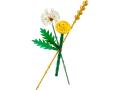 30701.webp