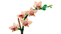 10343_WEB_SEC01_NOBG.webp