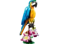31136.webp
