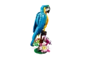 31136_alt2.webp