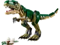 31151.webp
