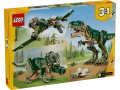 31151_Box5_v39.webp