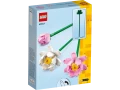 40647_alt2.webp