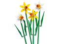 40747_alt1.webp