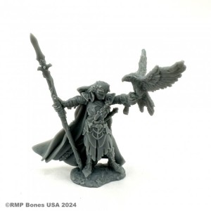 Reaper Miniatures: Wood Elf King