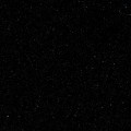 wszechs_wiat_label_1_35.jpg