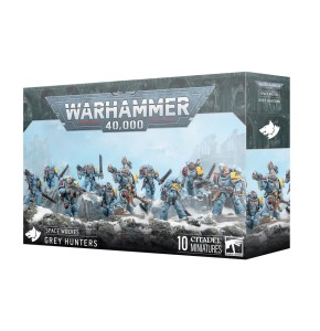 Space Wolves: Grey Hunters (Warhammer 40,000)