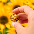 5907699497942-SWSPSUNF-full-art-dice-set-sunflower3.jpg