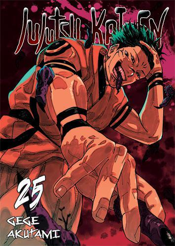 jujutsu-kaisen-25_jpg.png