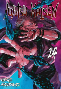 Jujutsu kaisen - tom 14