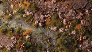 Gamers Grass: Pink Orchid Tiny Flowers (4 mm)