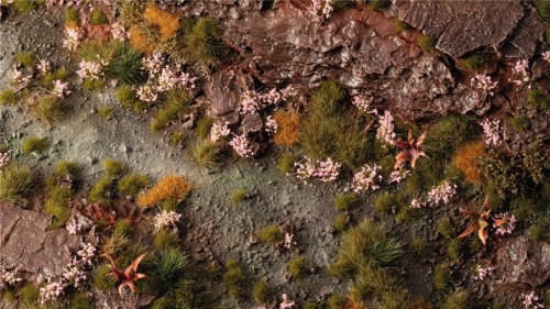 gamers-grass-pink-orchid-tiny-flowers (1) (1).jpg