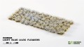 gamers-grass-light-blue-lilac-flowers (2).jpg