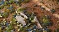 gamers-grass-cornflower-tiny-flowers (1).jpg