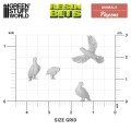 pigeons-148-135 (2).jpg