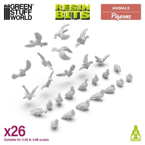 pigeons-148-135 (1).jpg