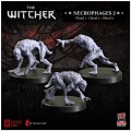 the-witcher-necrophages-2-ghouls.webp