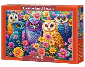 Puzzle 3000 Flower Owl Meeting