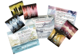 rebel-dodatek-na-skrzydlach-smokow-smocza-akademia-asset1.png