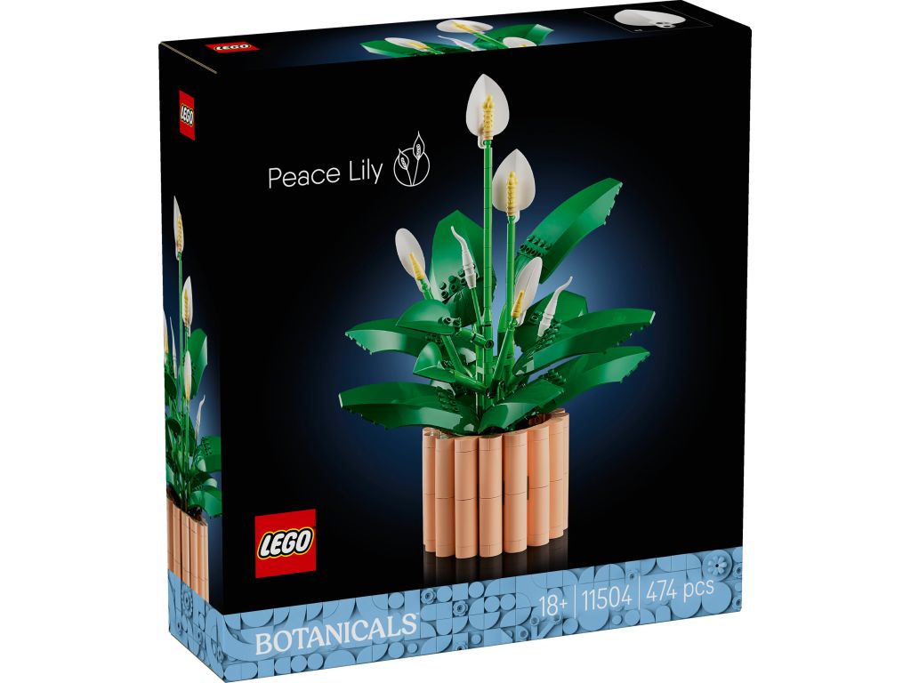 LEGO® Botanicals 11504 Skrzydłokwiat