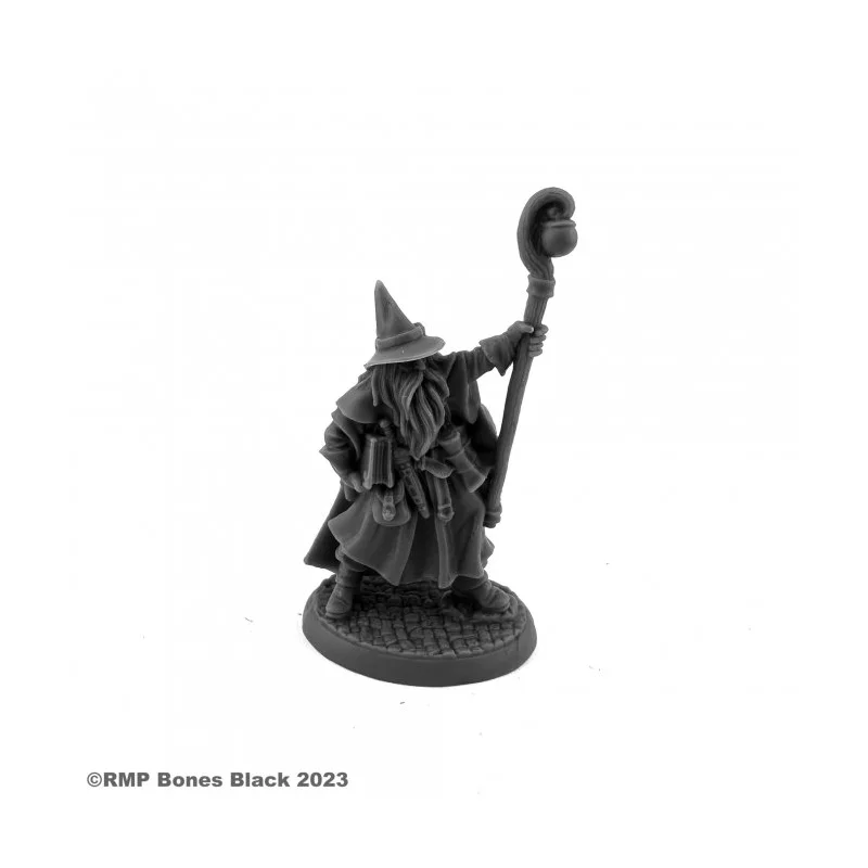 Reaper Miniatures: Luwin Phost, Wizard