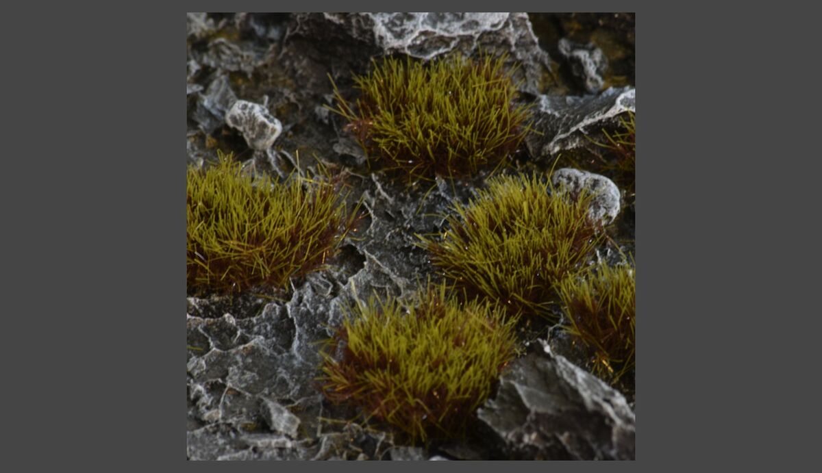 Gamer's Grass Swamp XL Wild (8mm)