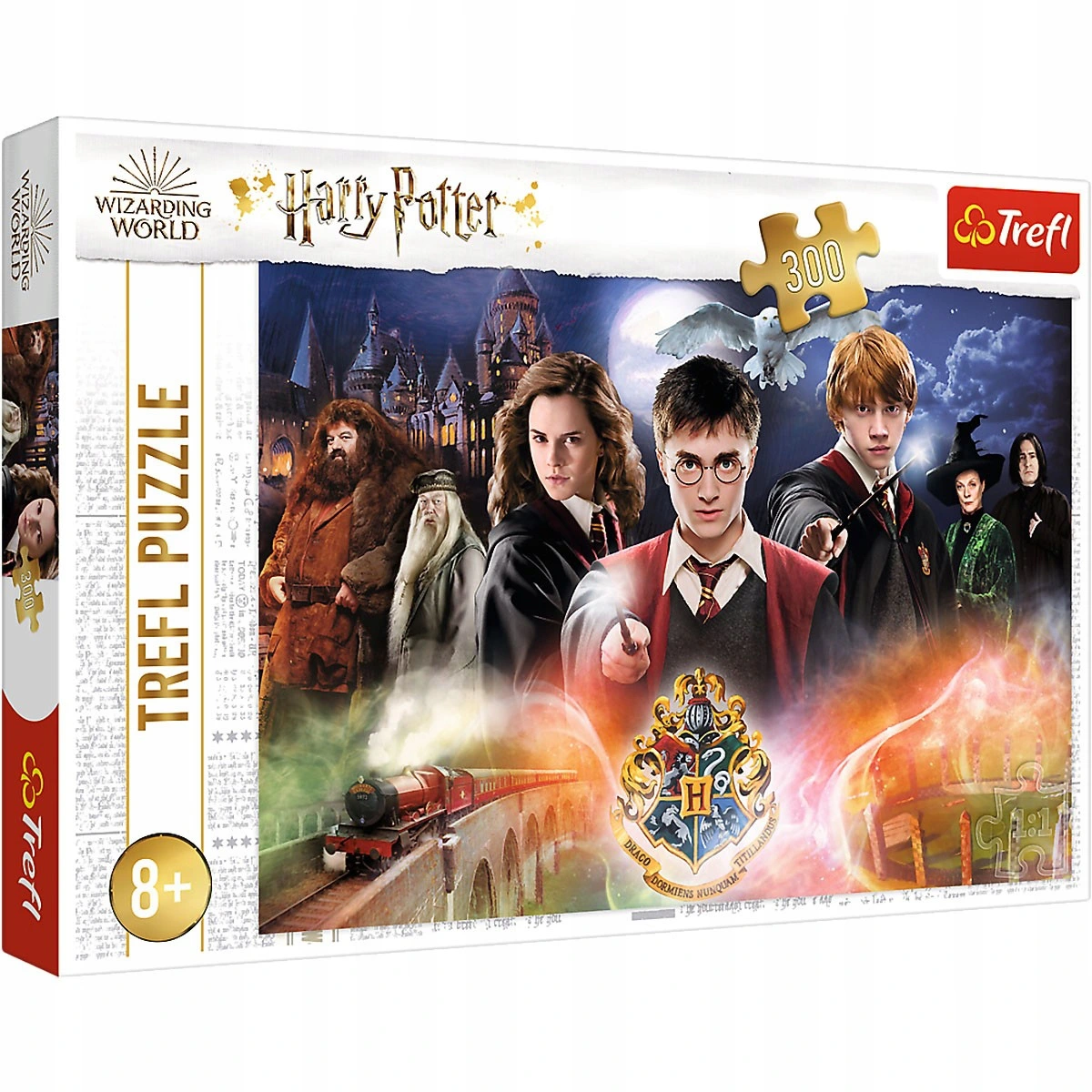 Puzzle 300 Tajemniczy Harry Potter