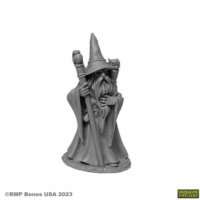 Reaper Miniatures: Anuminar Winterbeard - Wizard