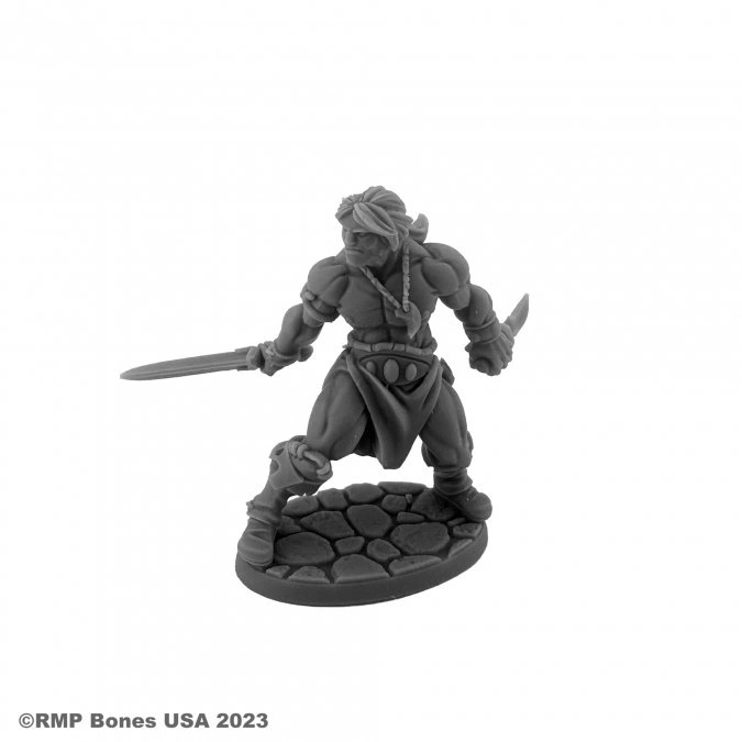 Reaper Miniatures: Hyborian Hero
