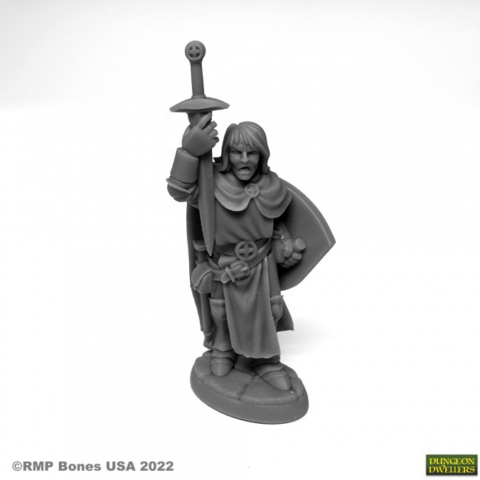 Reaper Miniatures: Sir Danarel the Holy