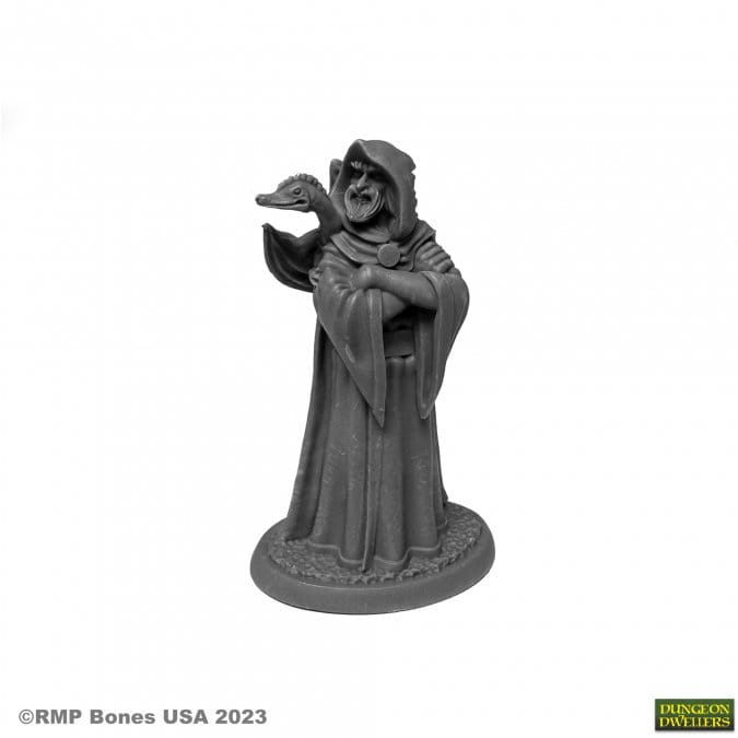 Reaper Miniatures: Zenfis Zadar - Wizard