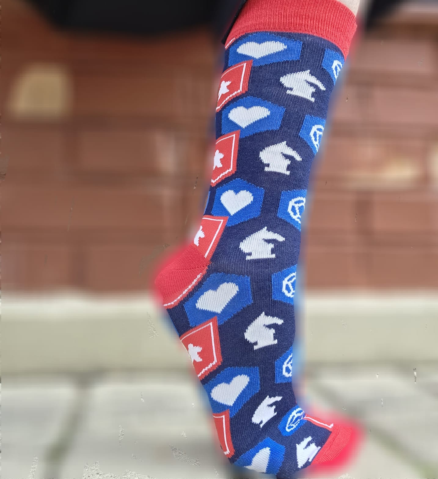 Socks: Protect. Heal. Roll. Conquer. Size 38-40
