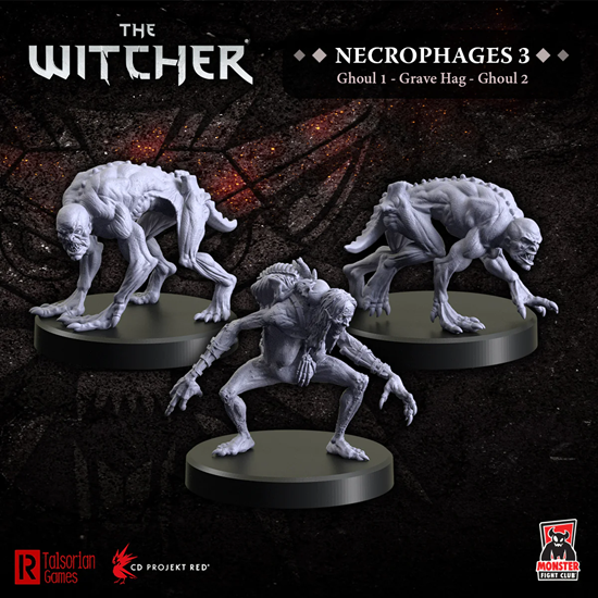 The Witcher RPG: Necrophages 3 - Grave Hag